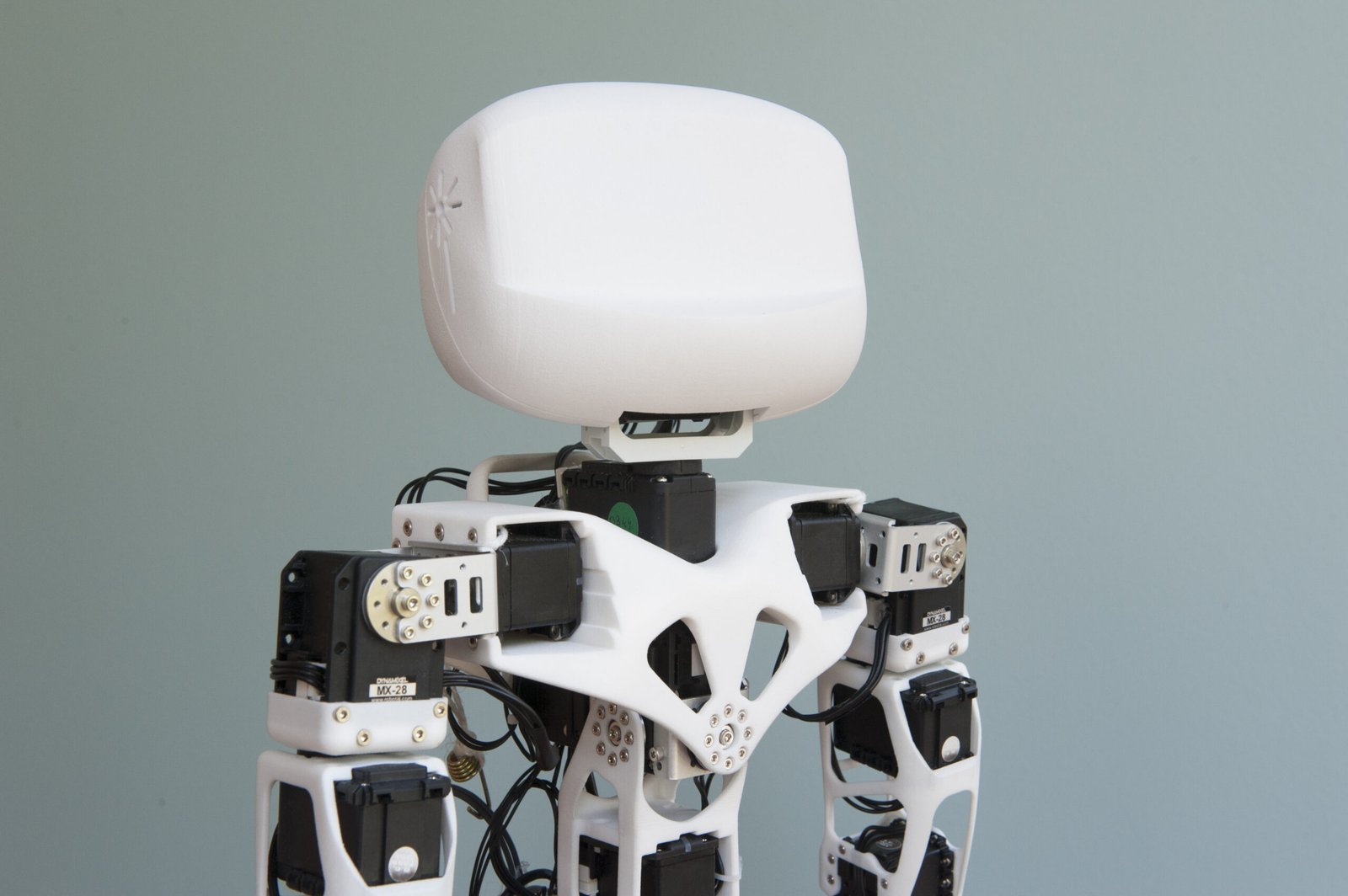 Open-Source 3D printed Poppy humanoid robot (head)